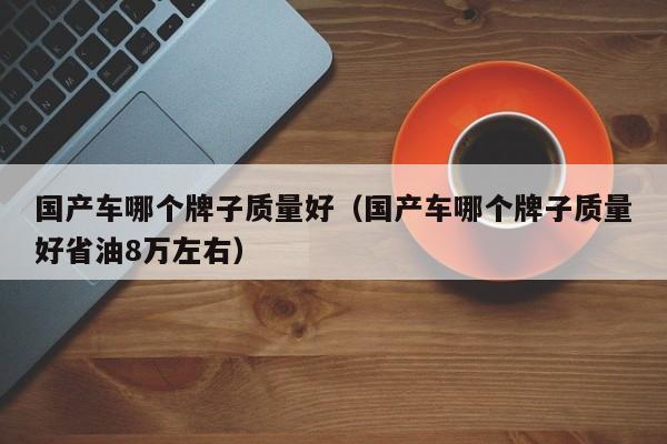 国产车哪个牌子质量好（国产车哪个牌子质量好省油8万左右）-图1