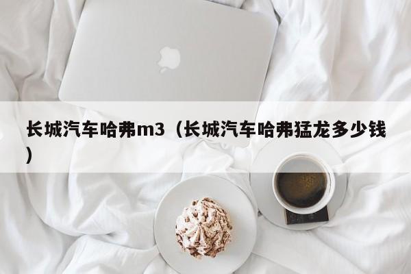 长城汽车哈弗m3（长城汽车哈弗猛龙多少钱）-图1